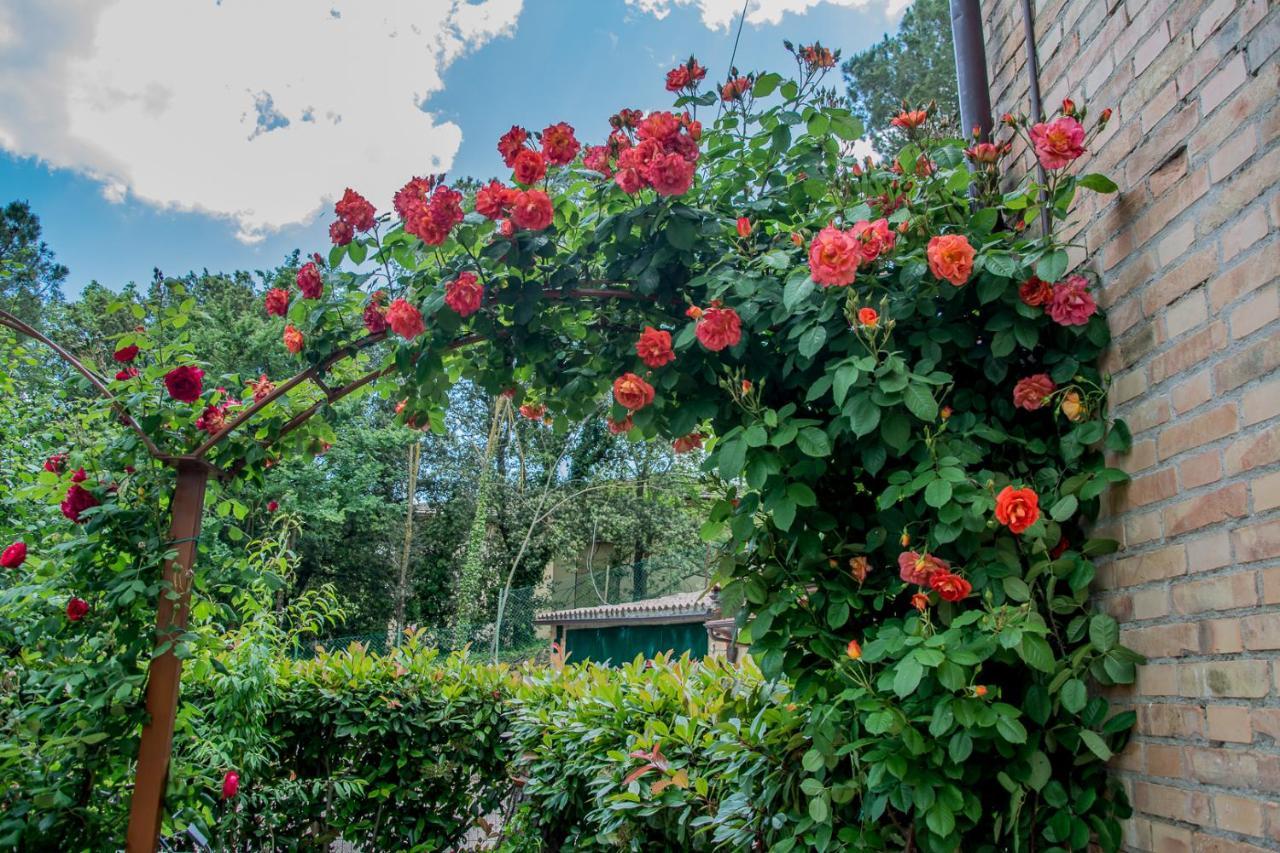 Penzion I Due Cipressi Torrenieri Exteriér fotografie